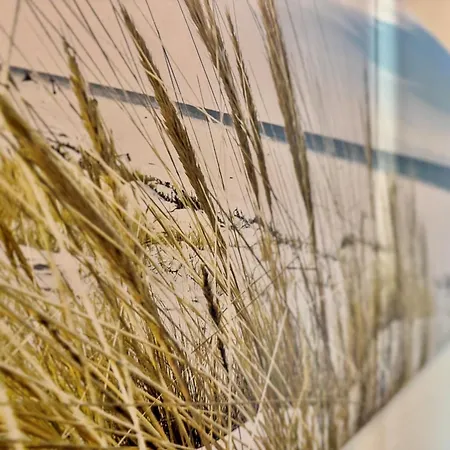 Апартаменти 388, Seepark